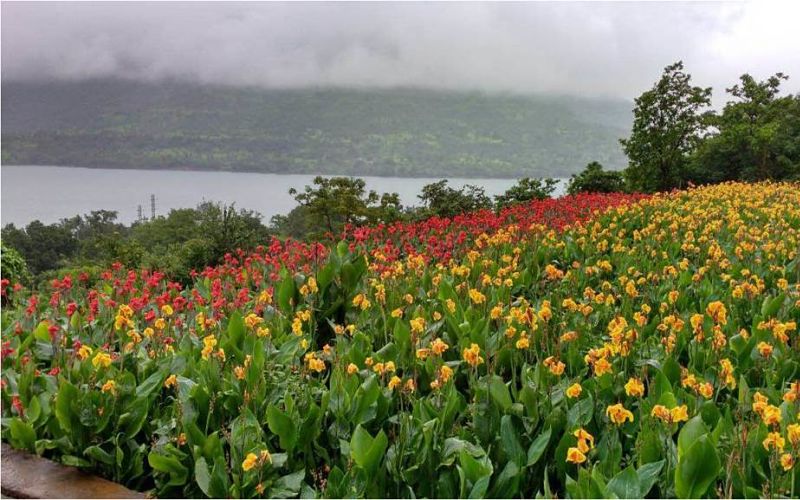 Atmantan Wellness Center